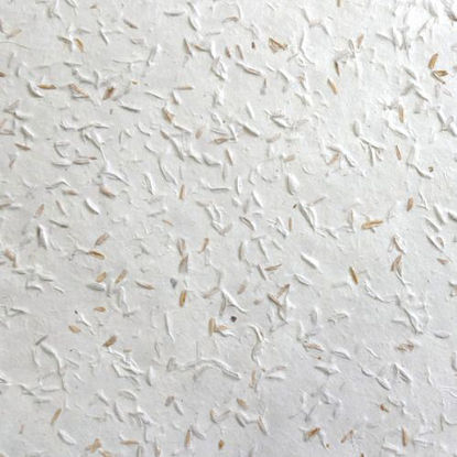 Picture of PNINC-Riz,  Lamali 50x75cm