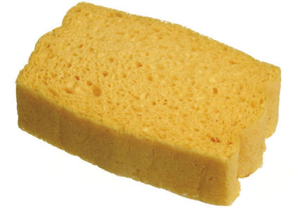 Picture of Pressed natural sponge