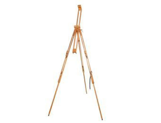 Picture of Field easel 18